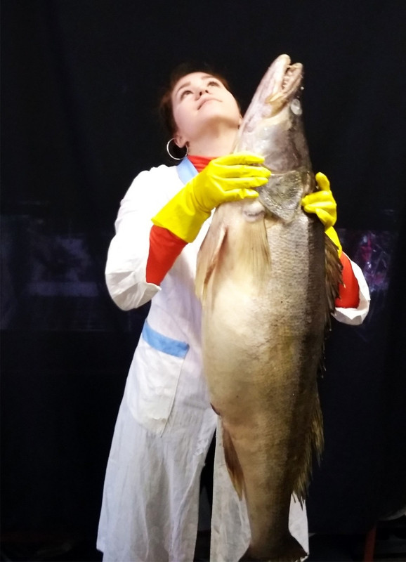 Судак 17 кг (1)