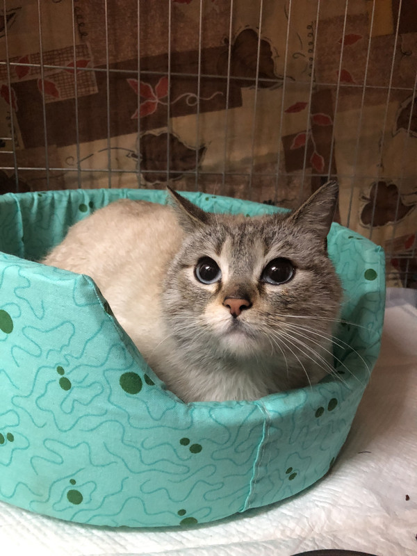 636FFCC4-2D09-4110-9965-AC38F221FF81