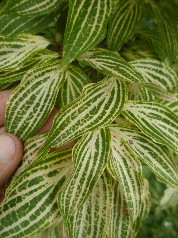 31D98D57-5C9E-4A35-9F25-40C479C4D541