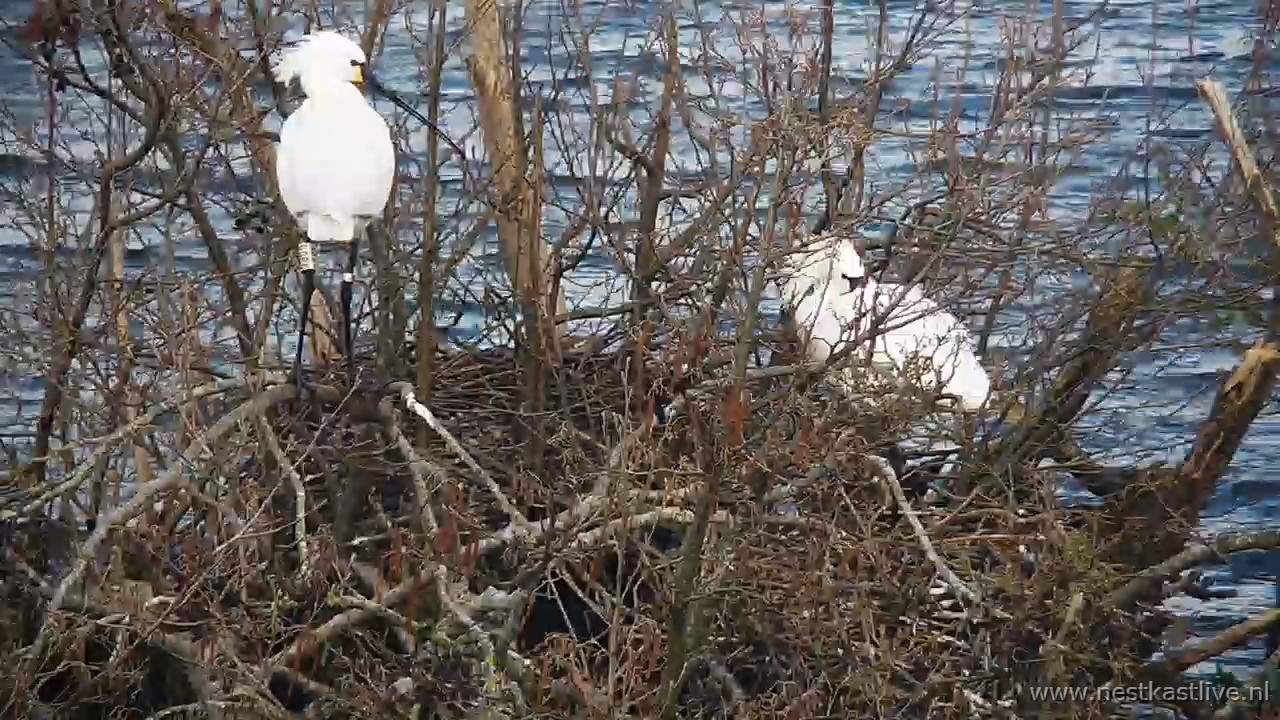 snapshot 2026 03 30T112617 472