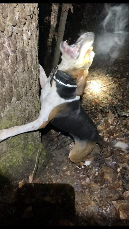 76BD060C-24A3-4771-A1CF-6CA3FCCD0B82