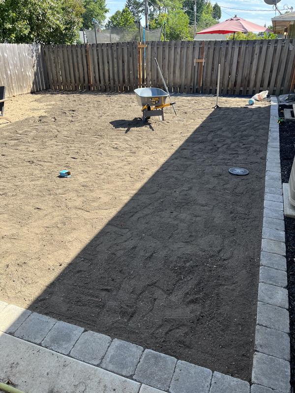 D410C76F-FAE8-4B6E-980E-62245F55903E