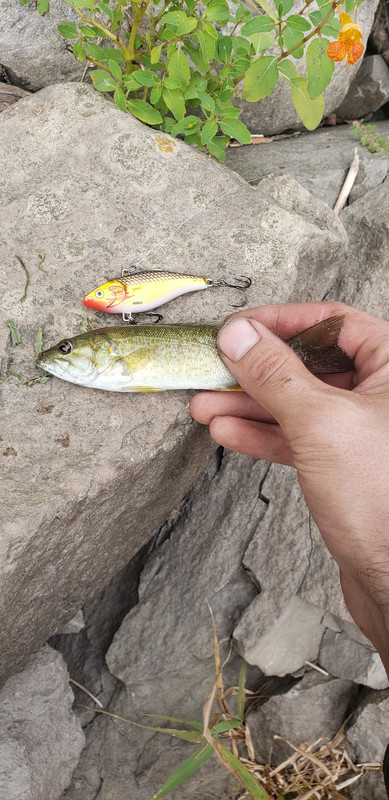 spacer.png