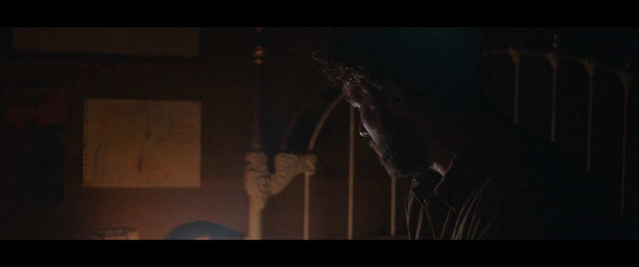 It Comes at Night 2017 (1080p x265 10bit Tigole)
