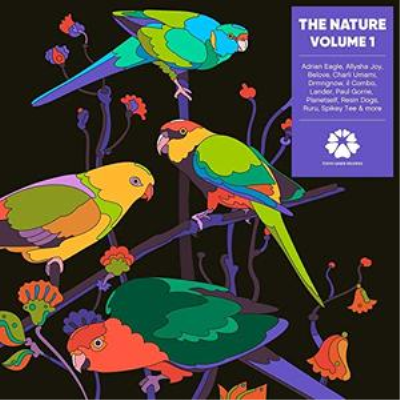 VA - The Nature Vol.1 (2019)