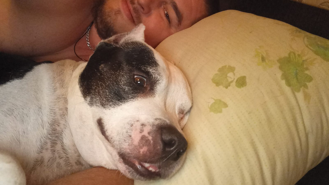 61A43574-9A40-44E0-B463-728825A51088