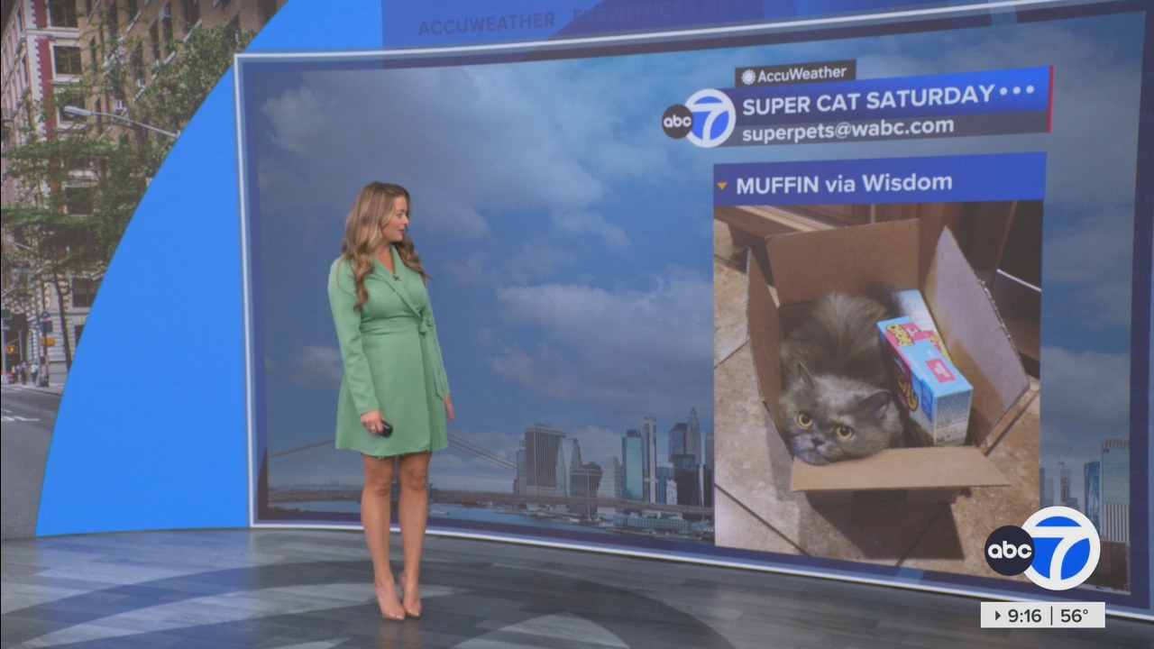 Eyewitness News This Morning_20250510_14001500.ts_snapshot_17.22.807