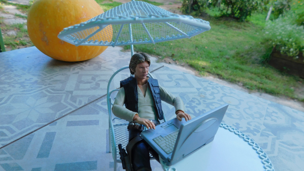 Дачно-барбейское июль, Харлинское 2-я серия 119