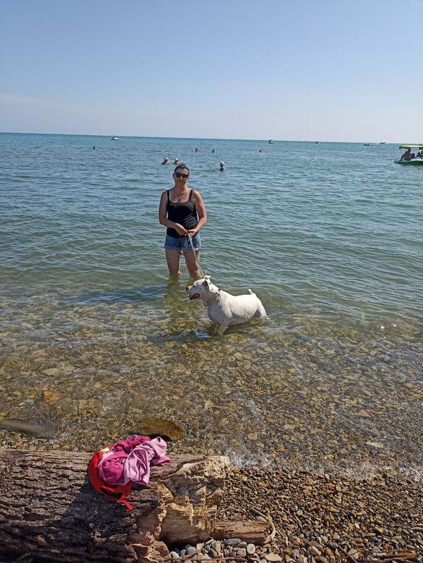 0A235D13-F32D-450E-96DD-0940F8E7243A