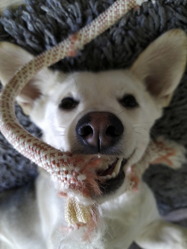 6A4A9E42-B503-47BC-9530-F6605F9E1E9F