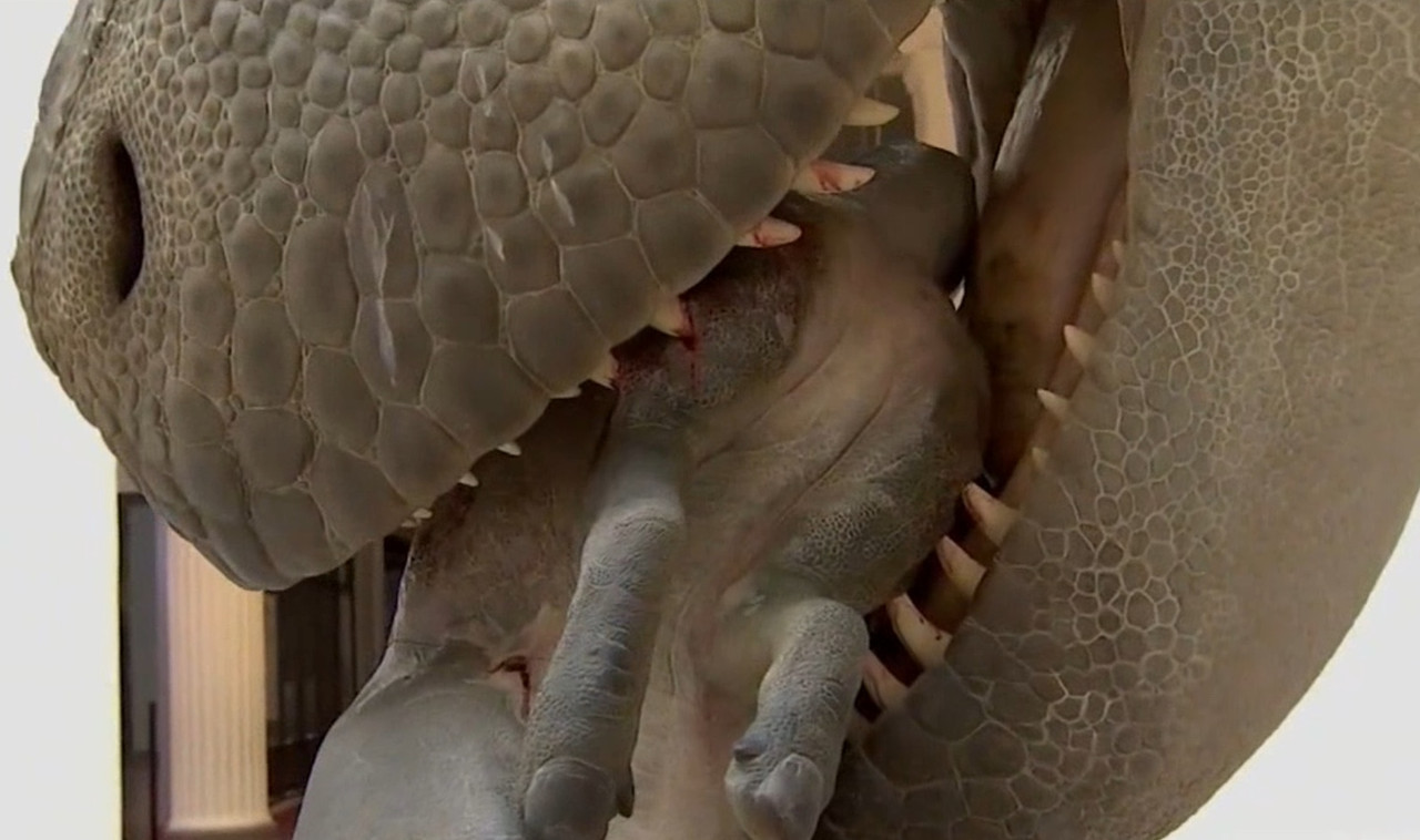 5D6CB3C8-627F-4B9C-BF08-0817D59A4547