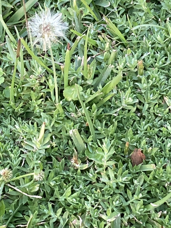 F4AF6EEF-EBC2-4F18-ABF9-1A31EF0F75F7