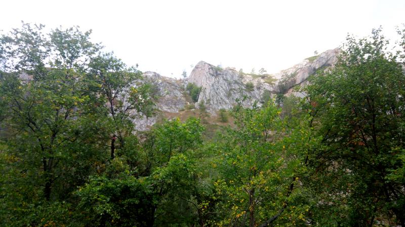 P_20180817_121612[1]