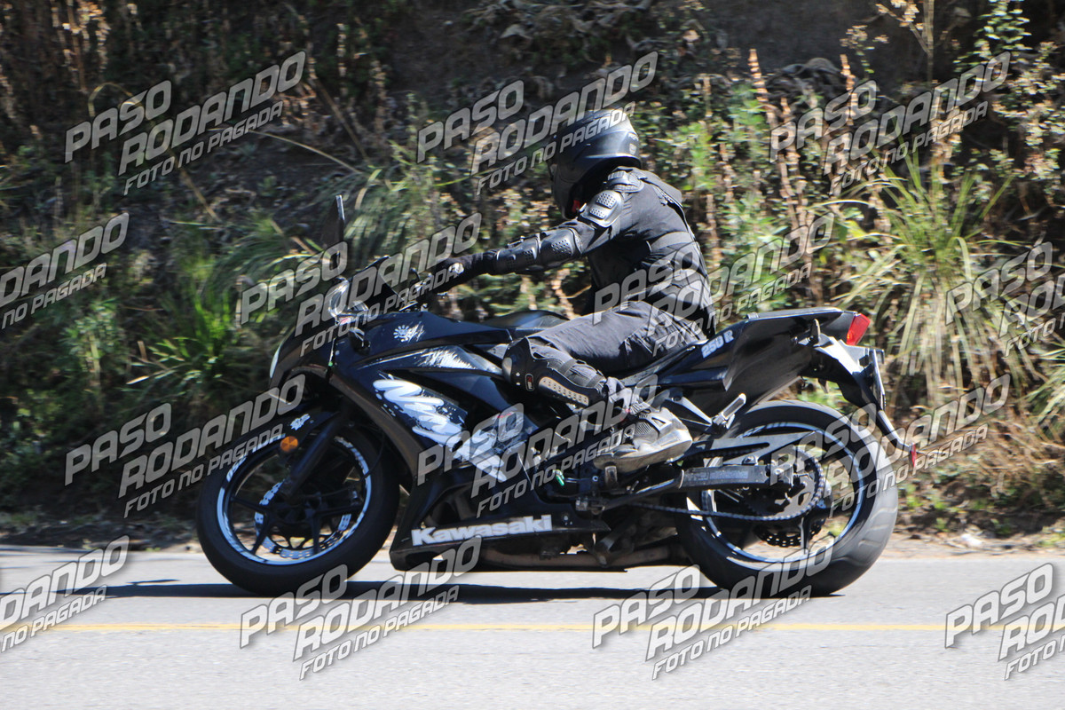 IMG 7291 wm 292842 30000000005 watermarked — Postimages