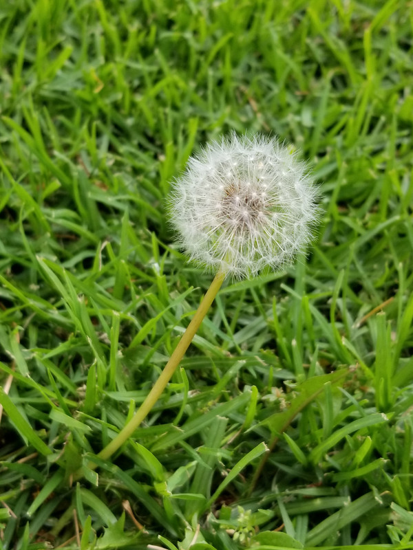 [Image: 20210529-111106.jpg]