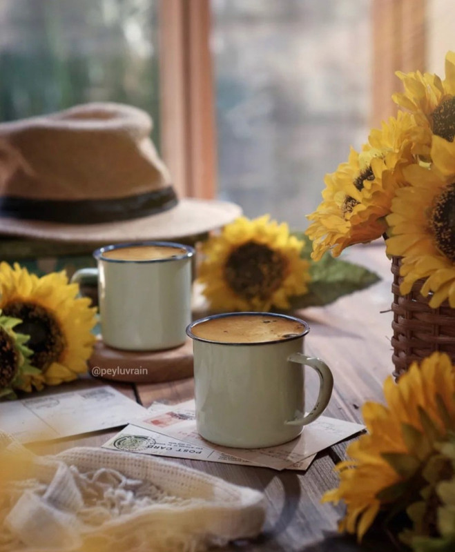 Screenshot_20231210_164420_Instagram