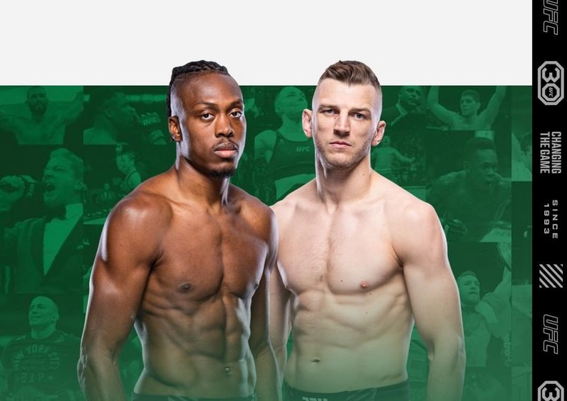 Джалин Търнър срещу Дан Хукър на UFC 290