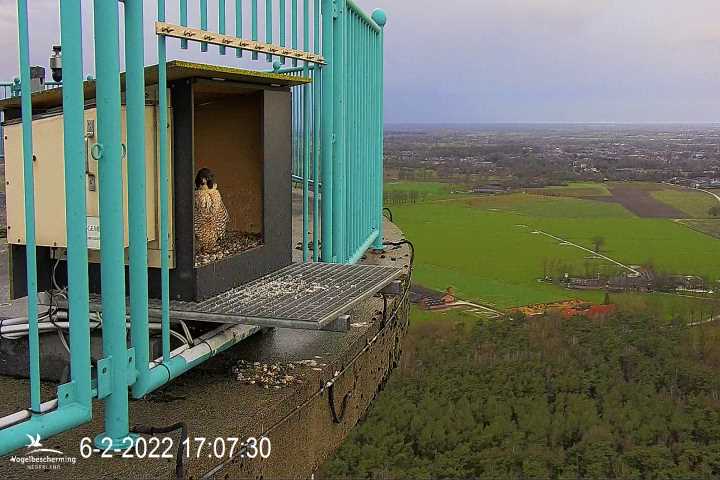campics vanaf 30 januari © VWGGemert en bonusjes van ter plekke - Pagina 5 Cam-2