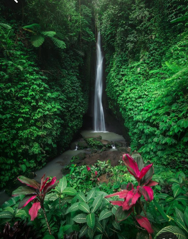 Screenshot_20240506_222342_Pinterest