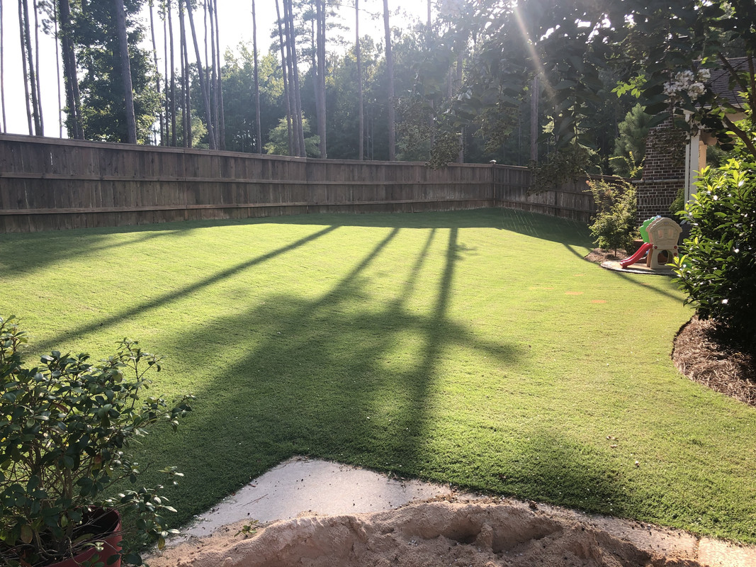 3743C209-6065-42C7-9D6A-CE8D02A94B3A