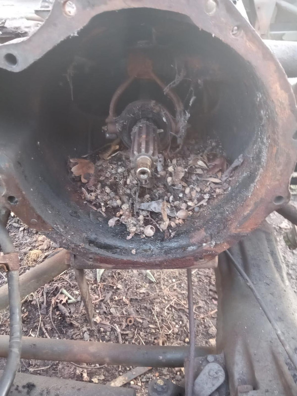 thumbnail - 2023-02-22T203820.875