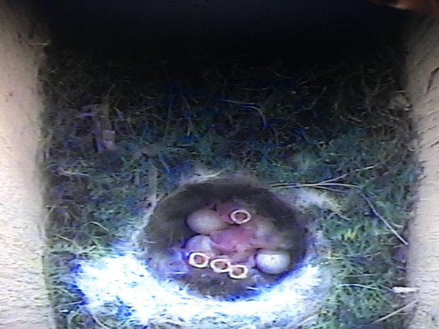 E003DF24-86FC-4CE3-9FA4-AC32024BE616