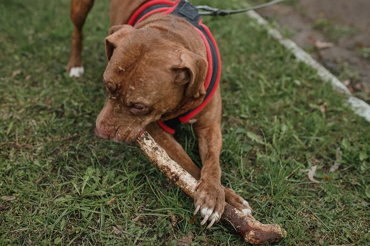 6091F288-84CD-4A9F-BC05-F0CFAD11BE80