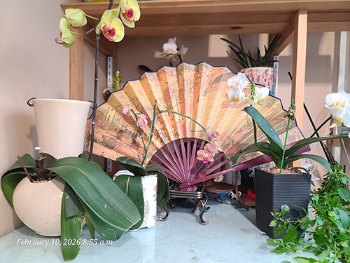 [Image: 20260210-085518.jpg]