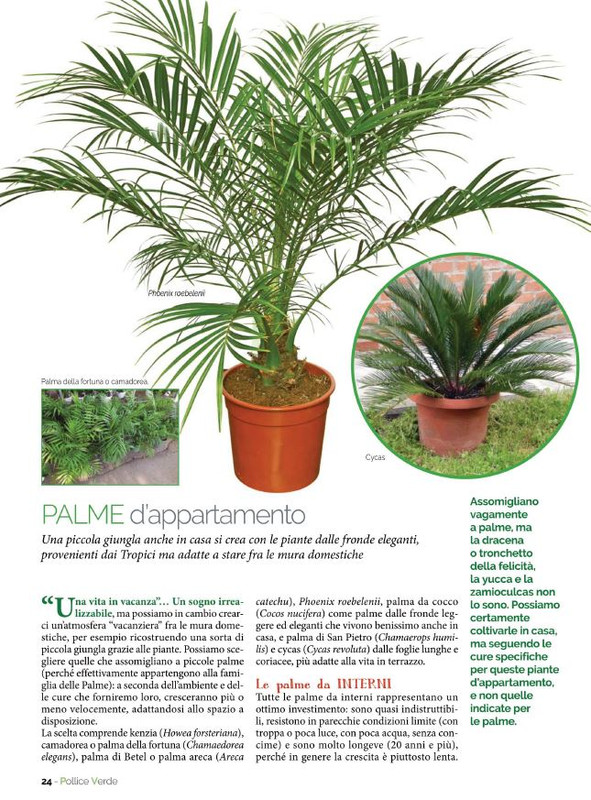 Pol Ver Apr-Mag 2022 (3)