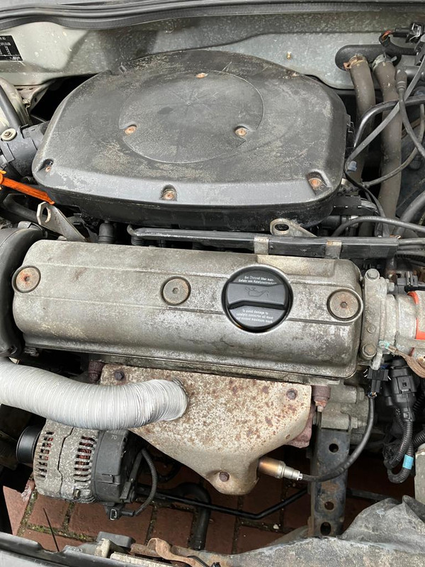 WhatsApp Image 2023-12-06 at 10.30.11 (3)