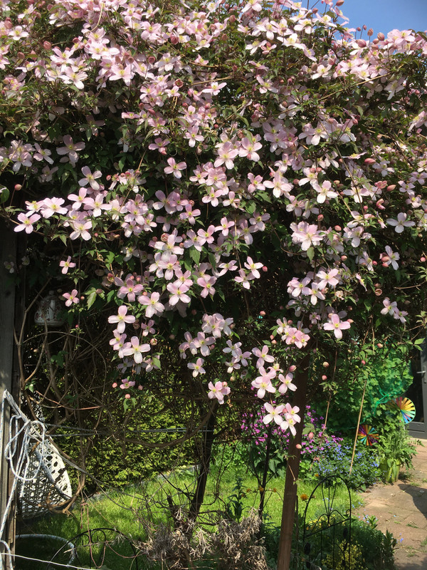 66397E09-AFFC-442A-9D69-6976C9BC14E6