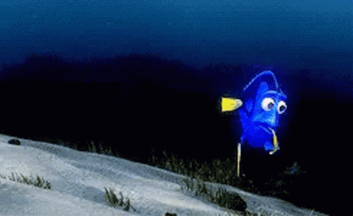 dory-confused-dory.gif