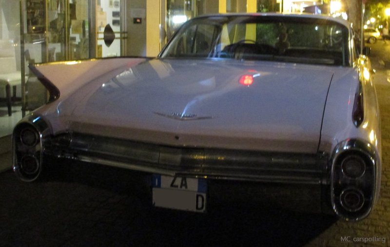 IMG-4599.jpg