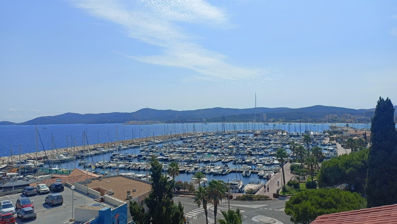 IMG20250806154854 (Large)