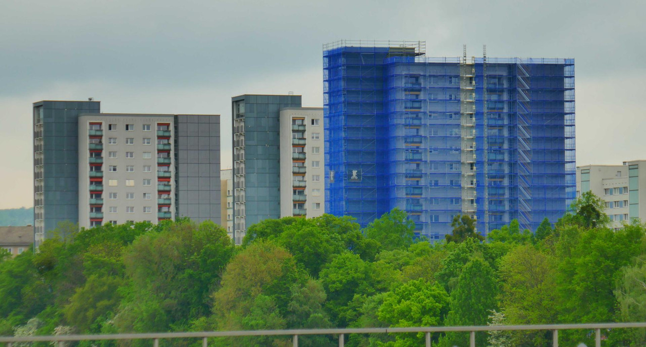 P1360266.jpg