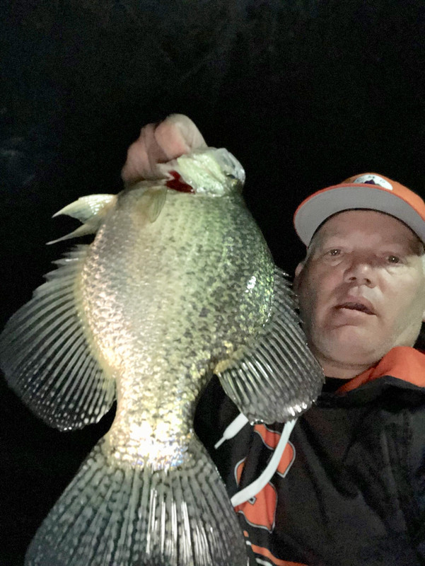 JWA crappie 3.23.19