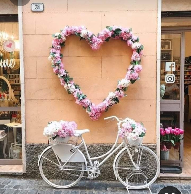 Screenshot_20230402_230802_Pinterest