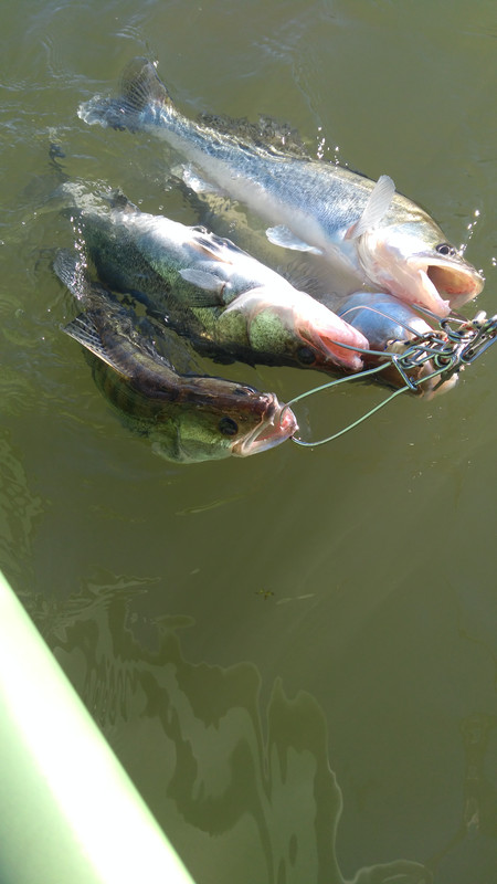 IMG-88df475a256a54fbc90260712b6e5570-V