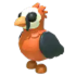 Lammergeier