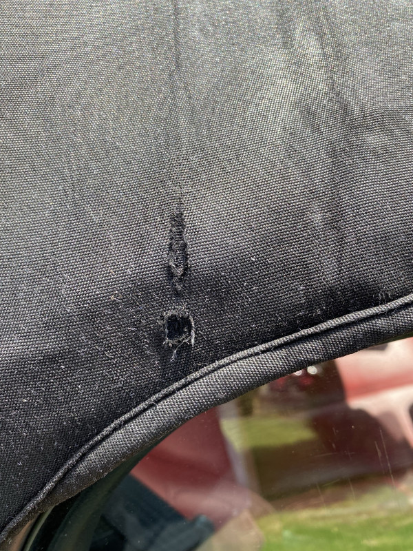 2021-07-29_14-15-31_IMG_0311