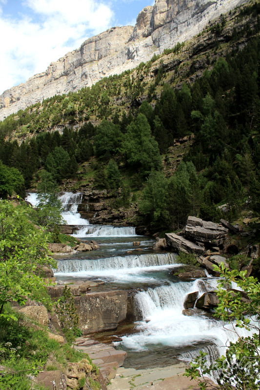 IMG-2065-5