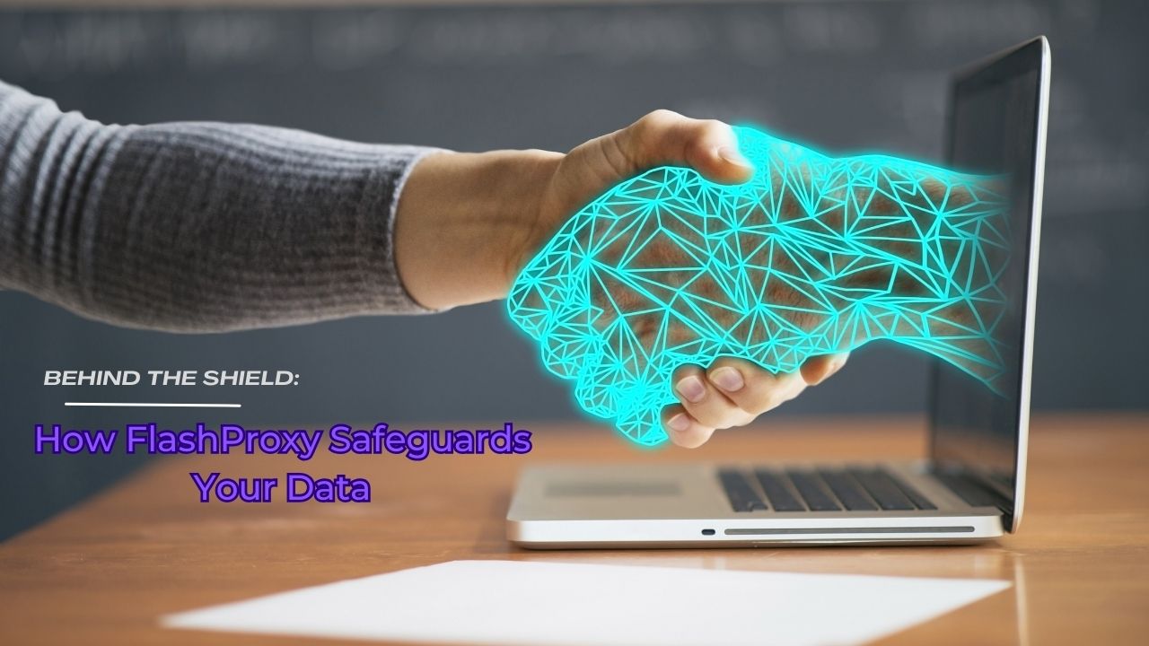 Behind the Shield: How FlashProxy Safeguards Your Data