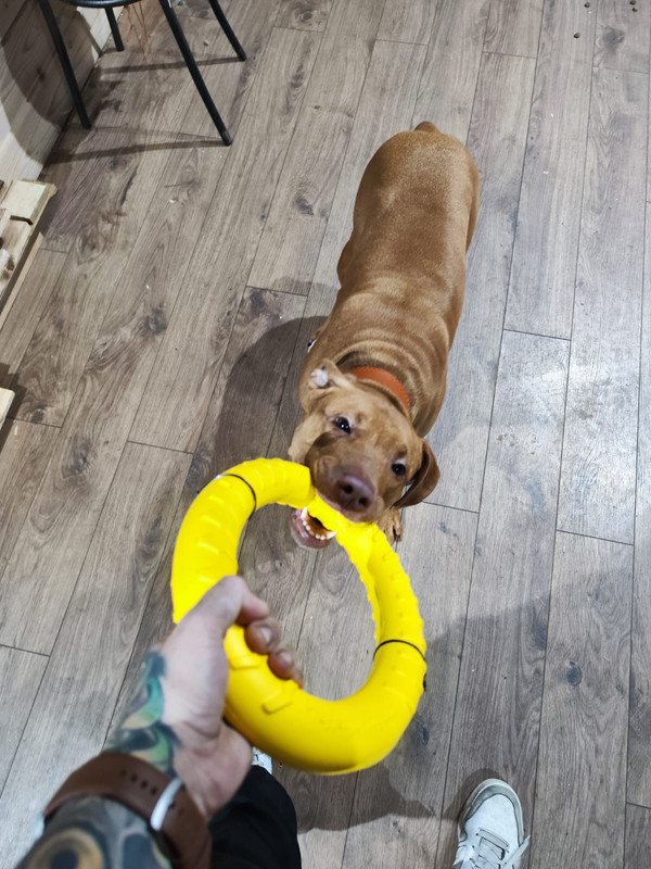 333BD89D-171B-49D4-B72A-96D4CEC5613E