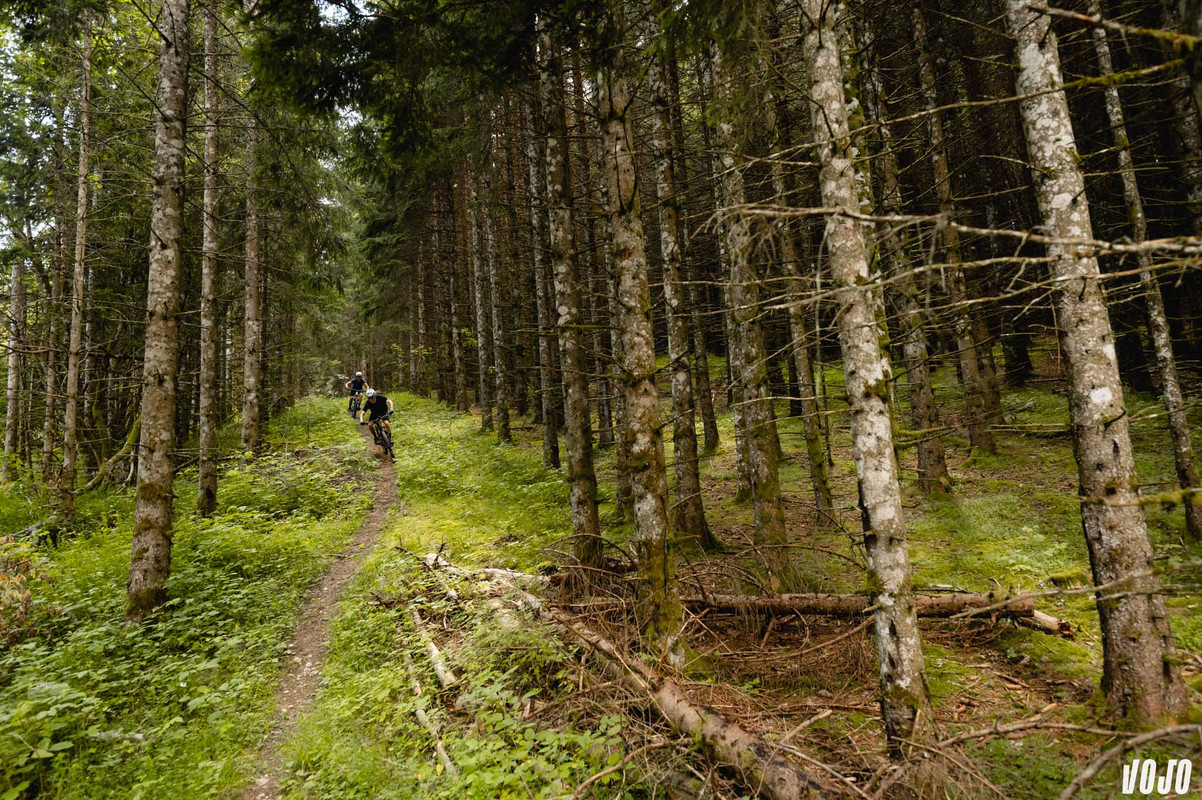 ain-tourisme-nature-vtt-vttae-circuit-2024-vojo-paul-humbert-19