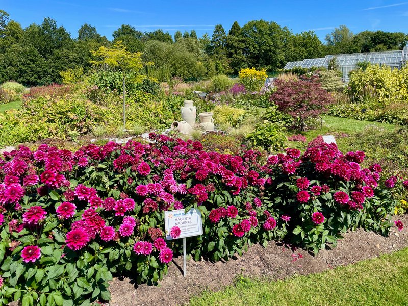 garden-centre-Aug-23rd-HD.jpg