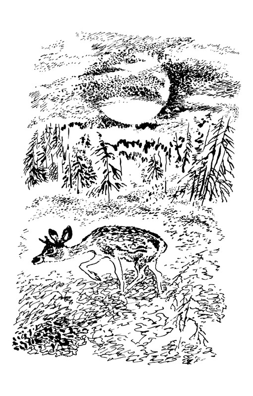 1993-page-0099