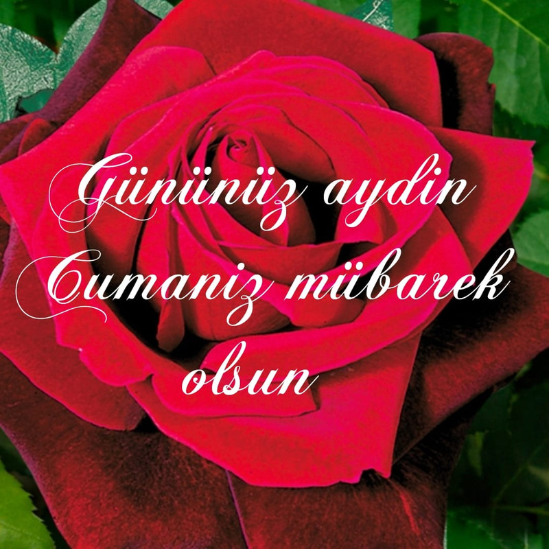 resim