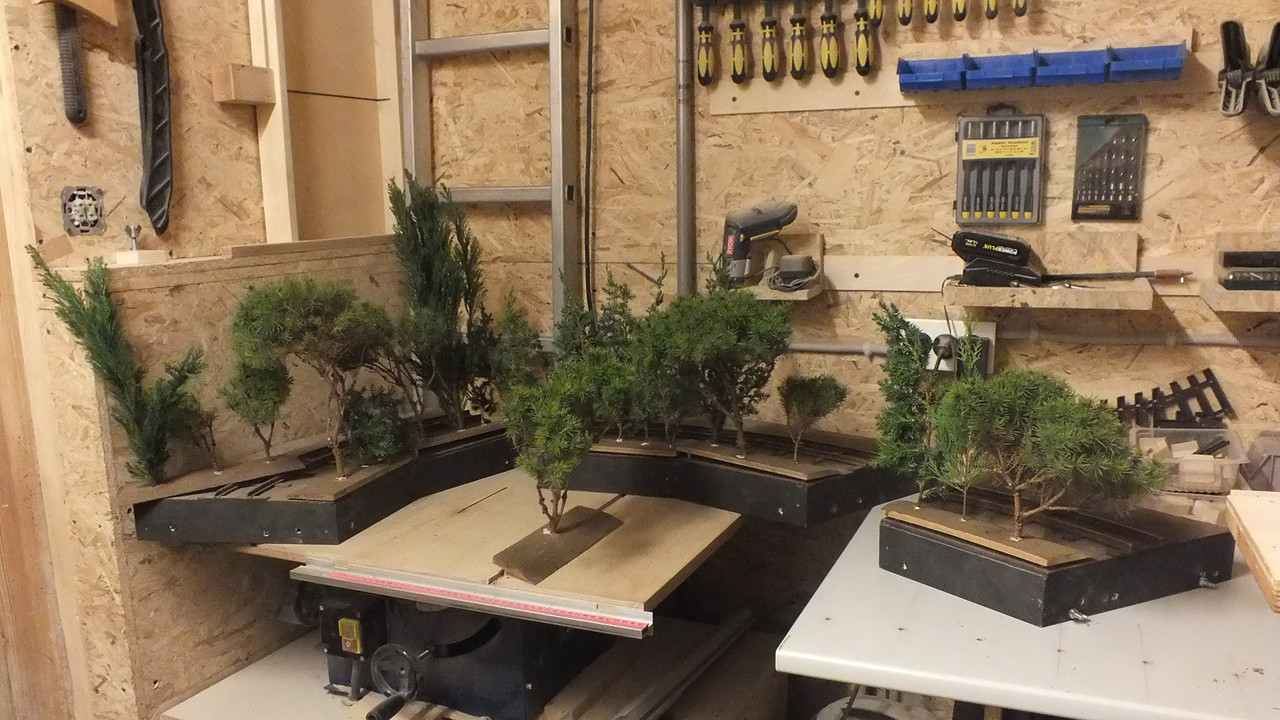 Gehölzrand für Module (32)