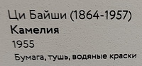 https://i.postimg.cc/02KH952r/8.jpg