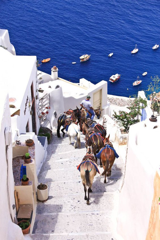 bluewhitebrownhorsesstepsocean.jpg